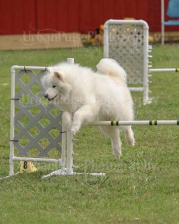 AGILITY-3078