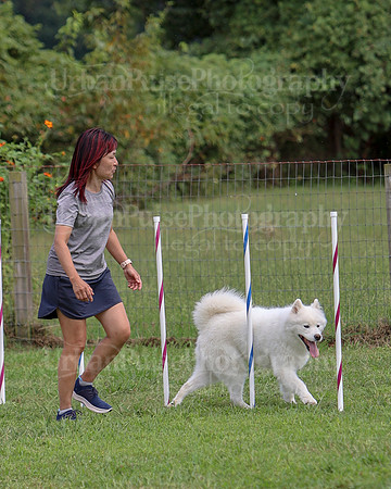AGILITY-3233