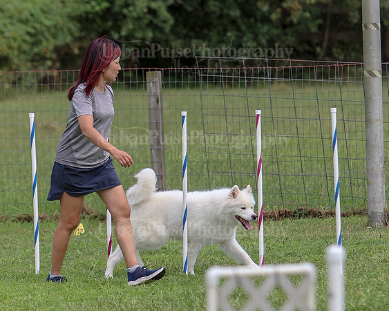 AGILITY-3235