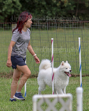 AGILITY-3236