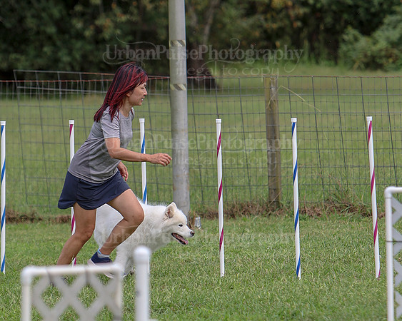 AGILITY-3237