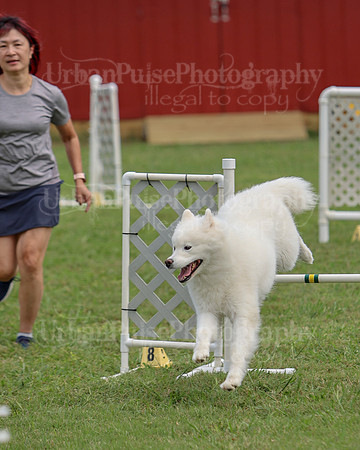 AGILITY-3240