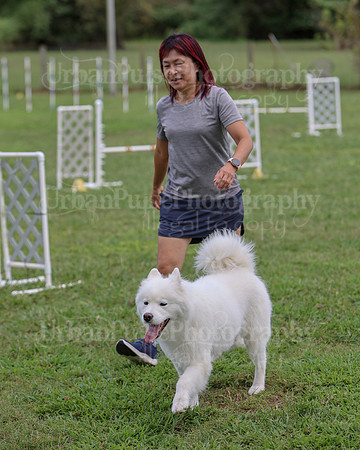 AGILITY-3241