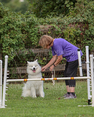 AGILITY-3242