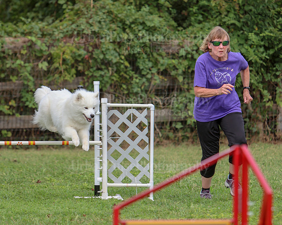 AGILITY-3244