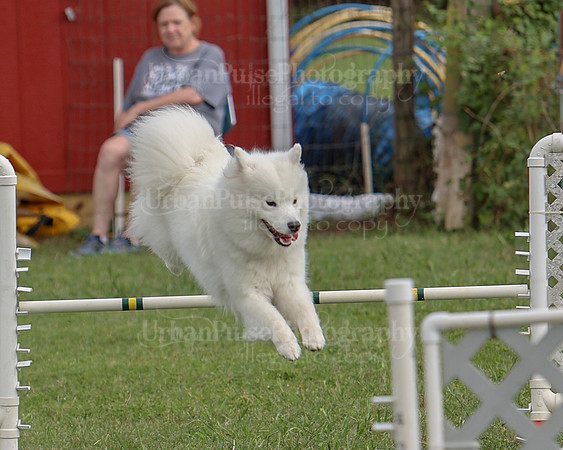 AGILITY-3249