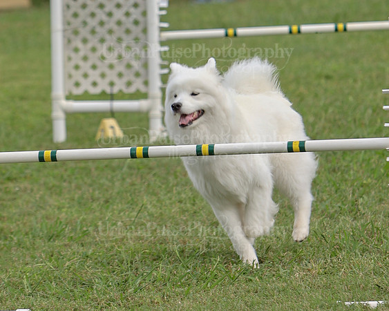 AGILITY-3250