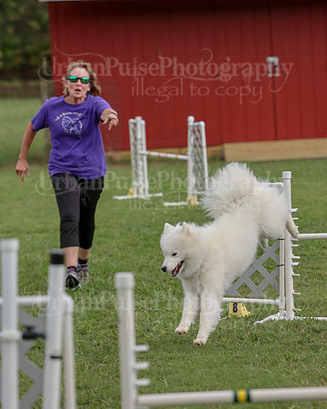 AGILITY-3251