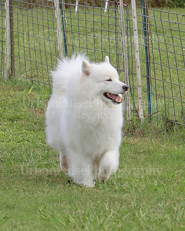 AGILITY-3253