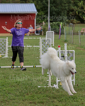AGILITY-3252