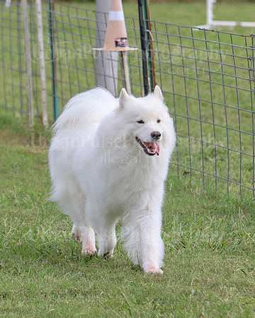 AGILITY-3254