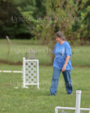 AGILITY-3256