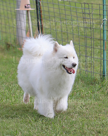 AGILITY-3255