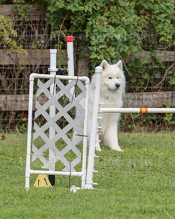 AGILITY-3257