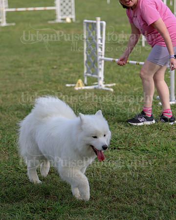 AGILITY-3276