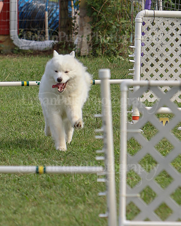 AGILITY-3279