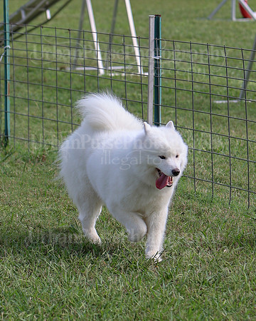 AGILITY-3280