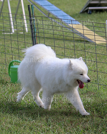 AGILITY-3281
