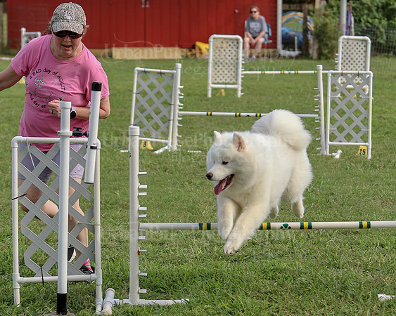 AGILITY-3282