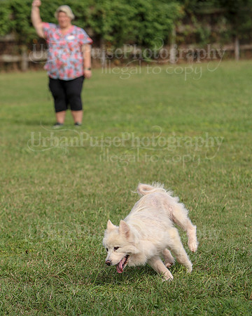 AGILITY-3283