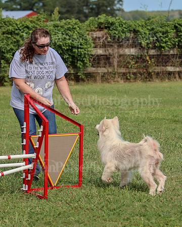 AGILITY-3284