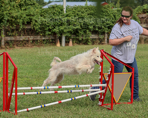 AGILITY-3285