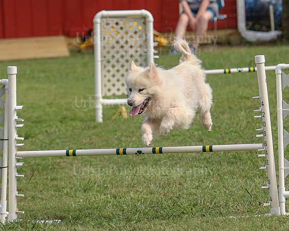 AGILITY-3291