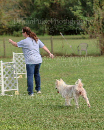 AGILITY-3292