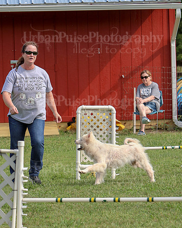 AGILITY-3289