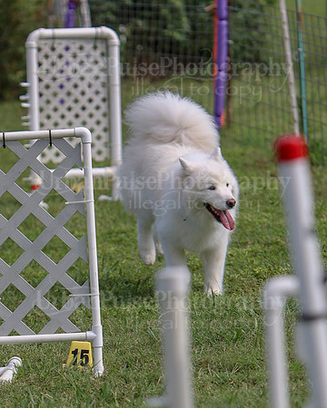 AGILITY-3298