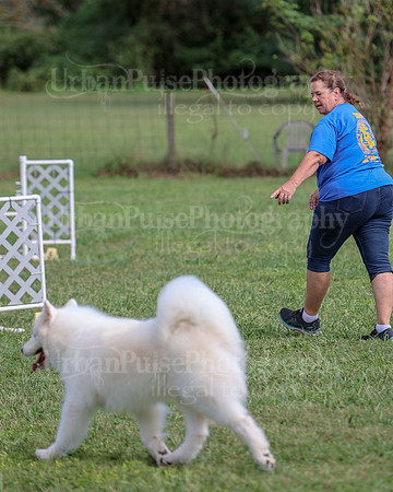 AGILITY-3302