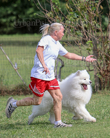 AGILITY-3306