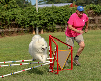 2023 SCA AGILITY NOVICE JWW
