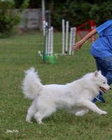 AGILITY-3002