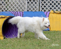 AGILITY-3001