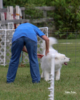 AGILITY-2999