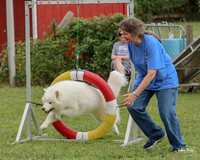 AGILITY-3003