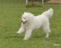 AGILITY-3005