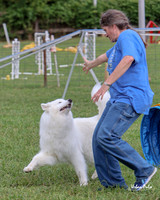 AGILITY-3009