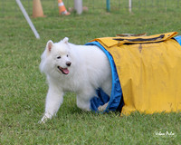 AGILITY-3008