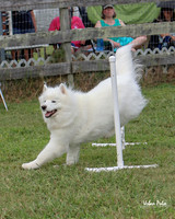 AGILITY-3010