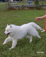 AGILITY-3013