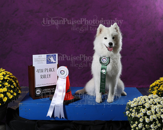 AWARD-2948