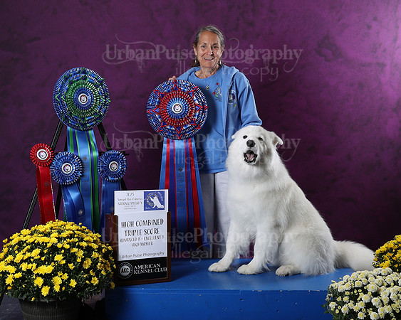 AWARD-2954