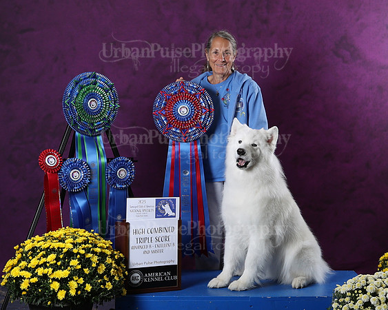 AWARD-2958