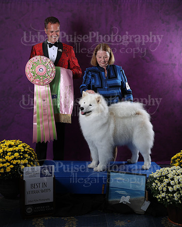 AWARD-2842