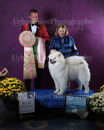 AWARD-2843
