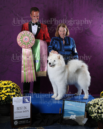 AWARD-2845