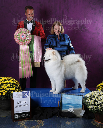AWARD-2841