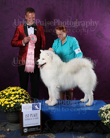 AWARD-2866